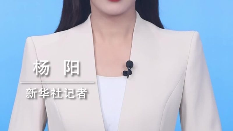软件定制开发源代码交付：揭秘其核心价值与应用场景